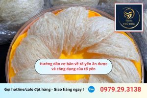 Hướng dẫn cơ bản về tổ yến ăn được và công dụng của nó