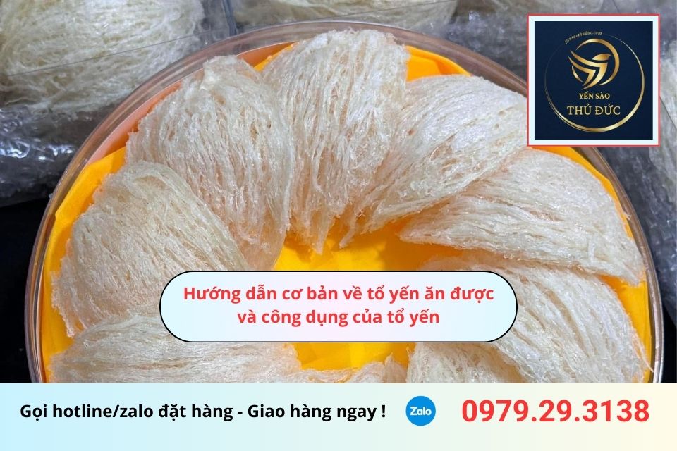 Hướng dẫn cơ bản về tổ yến ăn được và công dụng của nó