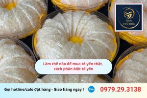 Làm thế nào để mua tổ yến thật, cách phân biệt tổ yến