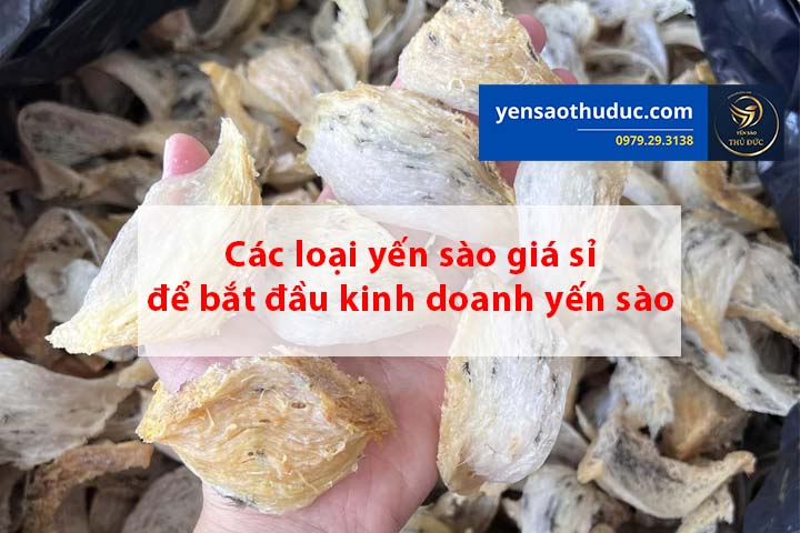 Các loại yến sào giá sỉ để bắt đầu kinh doanh yến sào