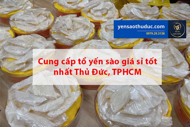 Cung cấp tổ yến sào giá sỉ tốt nhất Thủ Đức, TPHCM