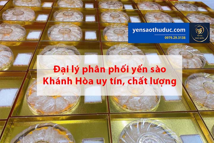 Đại lý phân phối yến sào Khánh Hòa uy tín, chất lượng