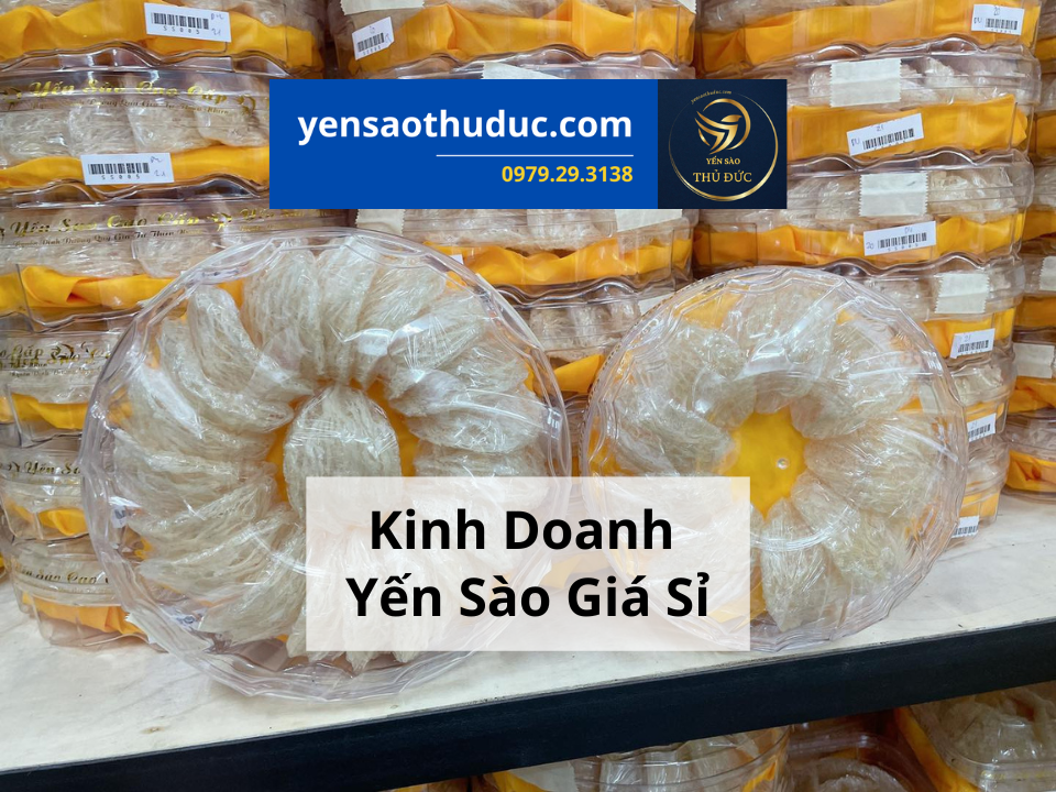 Bạn đang muốn kinh doanh yến sào, tổ yến nhưng chưa biết bắt đầu tư đâu?