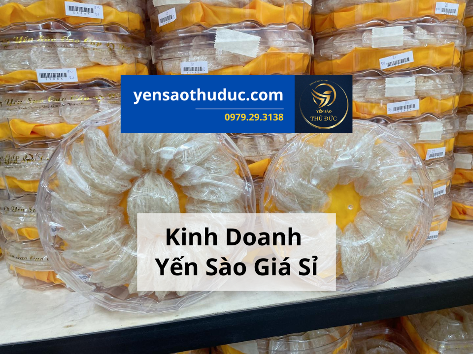 Bạn đang muốn kinh doanh yến sào, tổ yến nhưng chưa biết bắt đầu tư đâu?