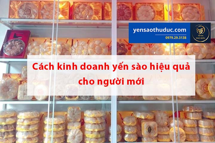 Cách kinh doanh yến sào hiệu quả cho người mới