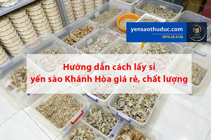 Hướng dẫn cách lấy sỉ yến sào Khánh Hòa giá rẻ, chất lượng