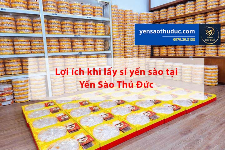 Lợi ích to lớn khi lấy sỉ yến sào tại Yến sào Thủ Đức