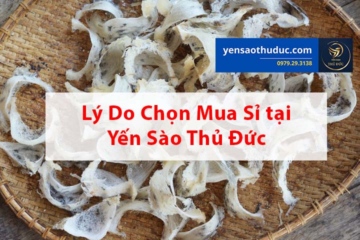 Lý do chọn mua sỉ tại Yến sào Thủ Đức là gì?