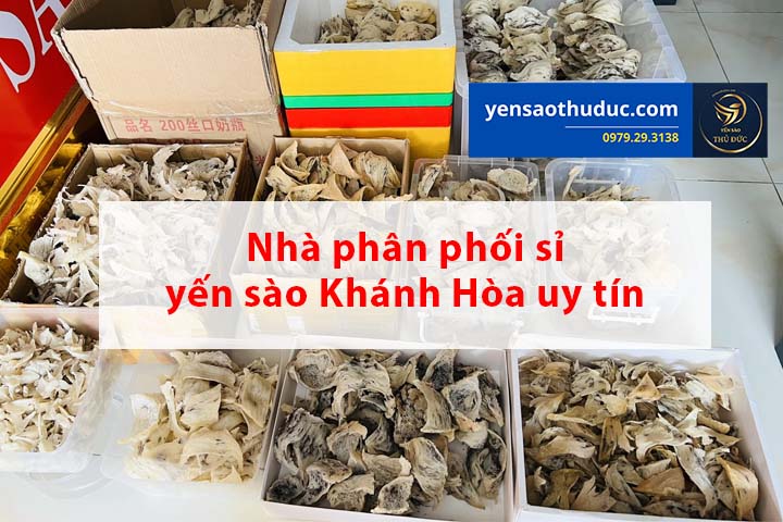 Nhà phân phối sỉ yến sào Nha Trang uy tín, chất lượng, giá cả hợp lý